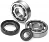 Подшипник двигателя. Подшипник коленвала cr250r. Racing Crank bearing Seal Kit 09240128. Подшипники коленвала yz450f. Подшипники маятника на KTM EXC 500.